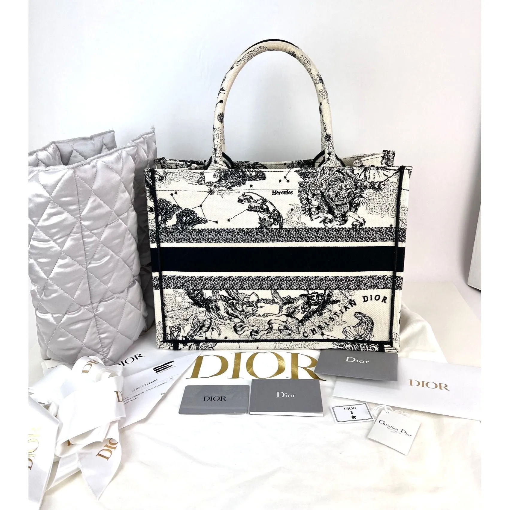 Christian Dior Book Embroidered Canvas Medium Stars and Signs Black Tote