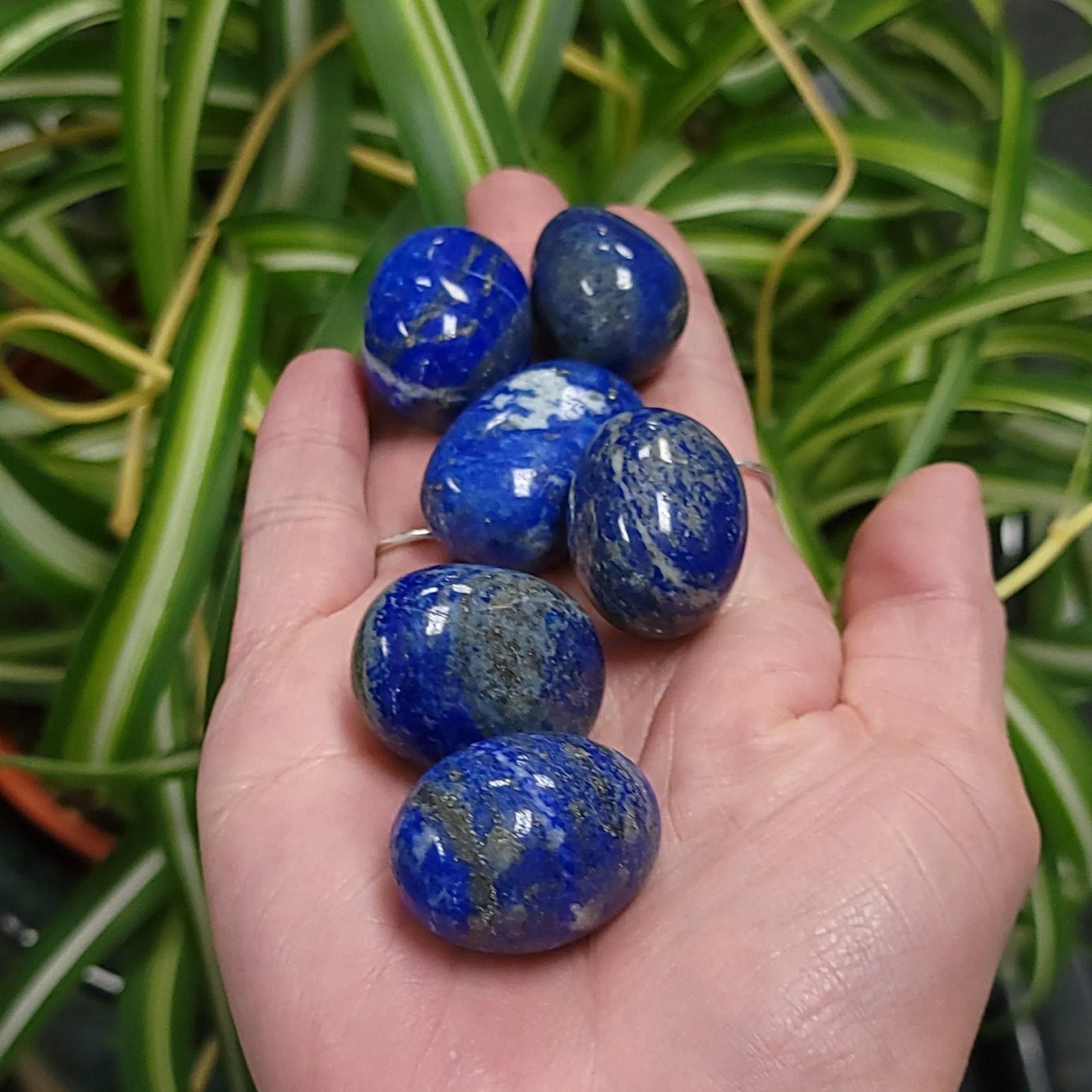 Lapis Lazuli Tumbled Stone HQ
