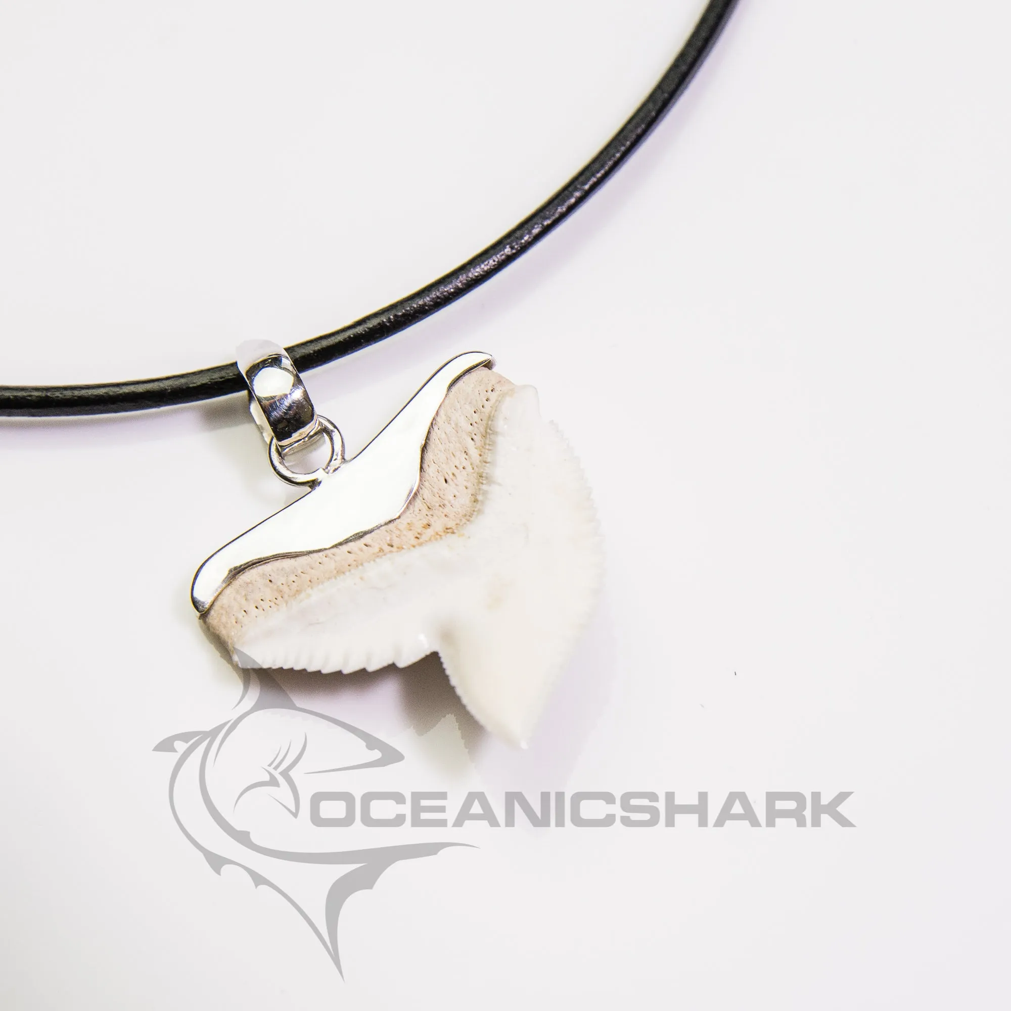 Tiger shark tooth stylish silver capped design s20